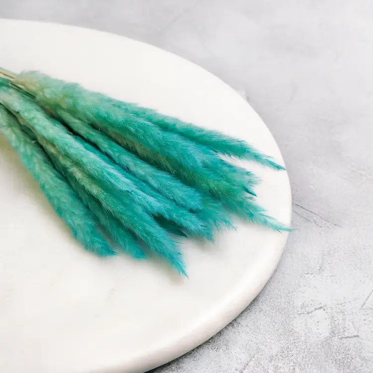 Mini Pampas Miętowy 1 (1).png