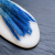 Mini pampas Niebieski.png