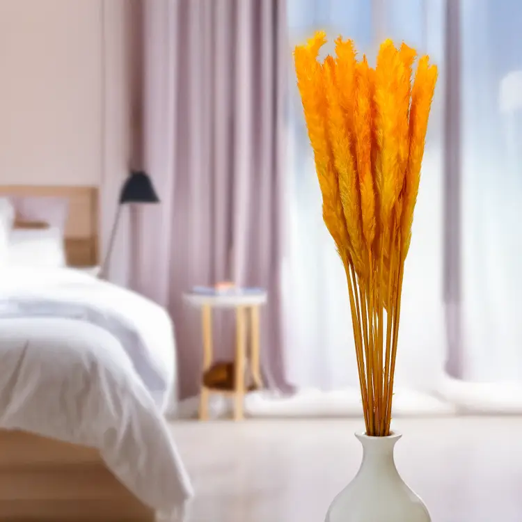 Mini pampas Pomarańczowy 5.png