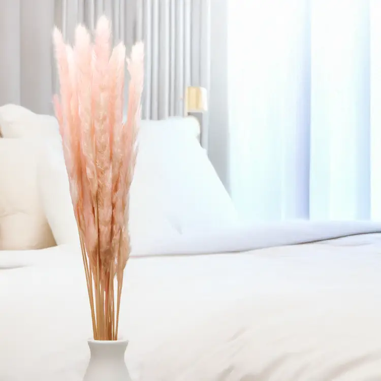 Mini Pampas Różowy 5.png