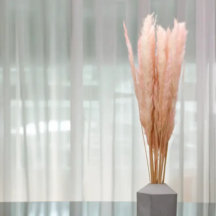 Mini Pampas Różowy 4.png