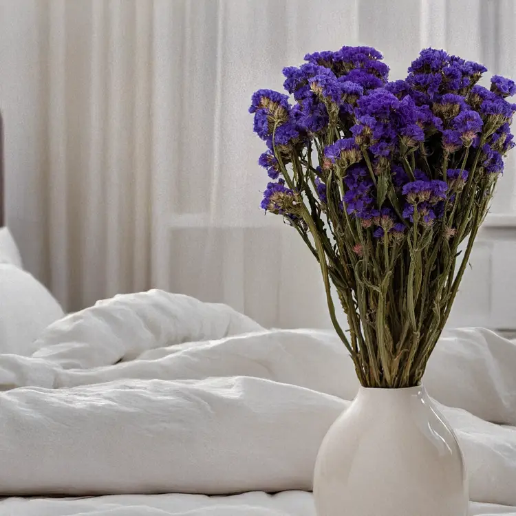 Zatrwian Fioletowy Suszony 1.png