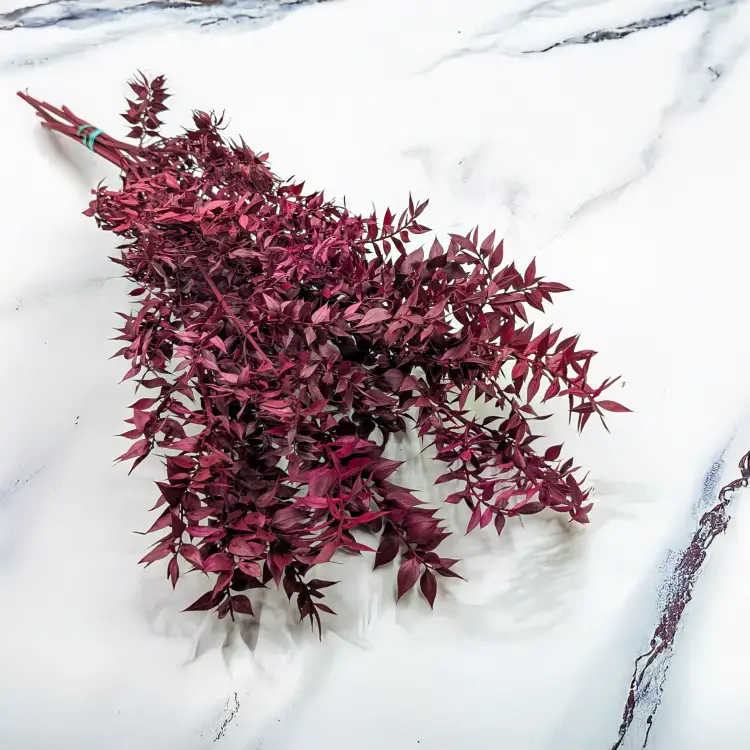 Ruskus stabilizowany Wiśniowy.png