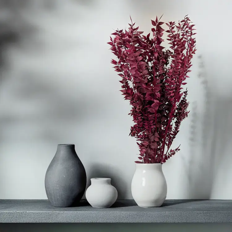 Ruskus stabilizowany Wiśniowy 4.png