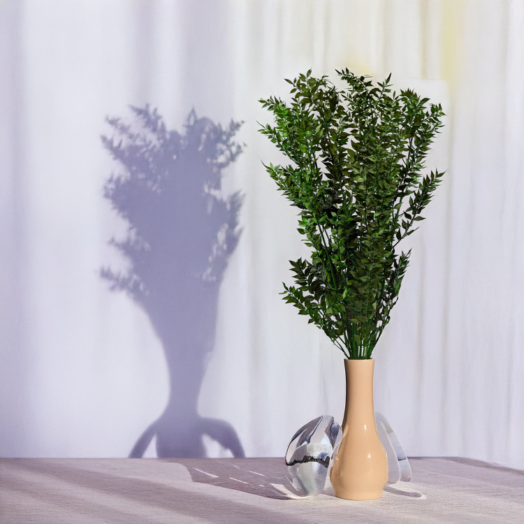 Ruskus stabilizowany Zielony 4.png