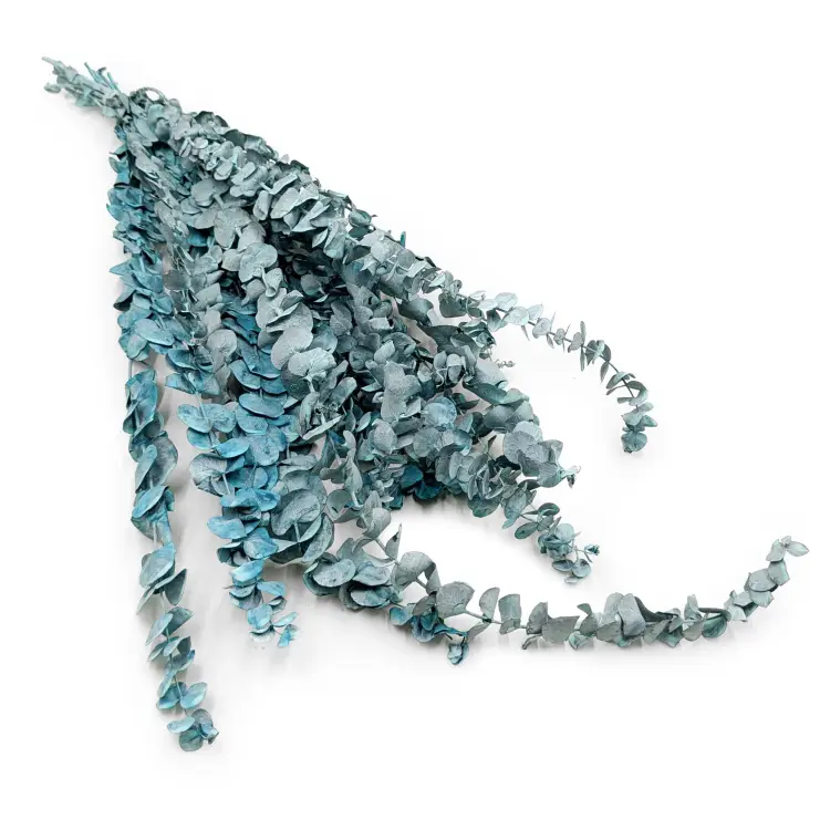 Eukaliptus baby Matowy Zielony (1).png