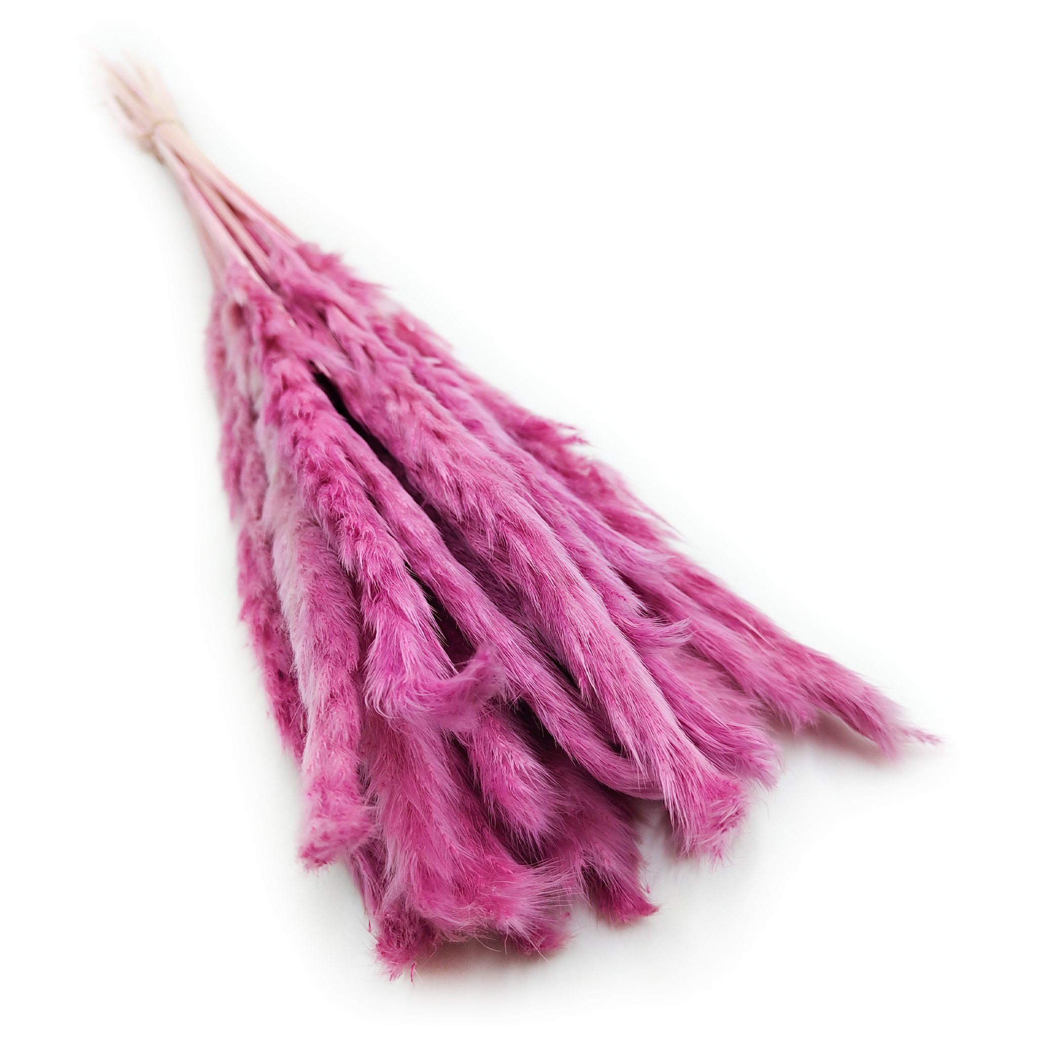 Pampas Grass Mini - Heather