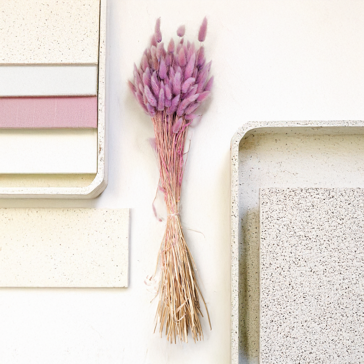 Suszony Lagurus wrzosowy heather 2.png