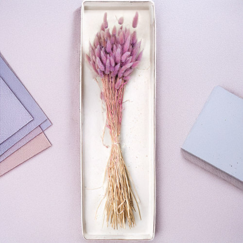 Suszony Lagurus wrzosowy heather 3.png