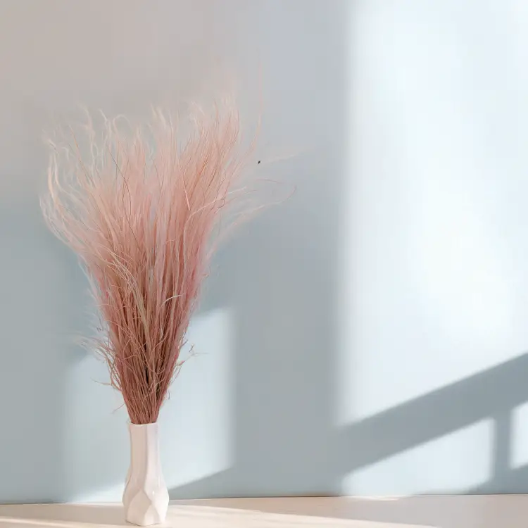 Stipa wrzosowa 4.png