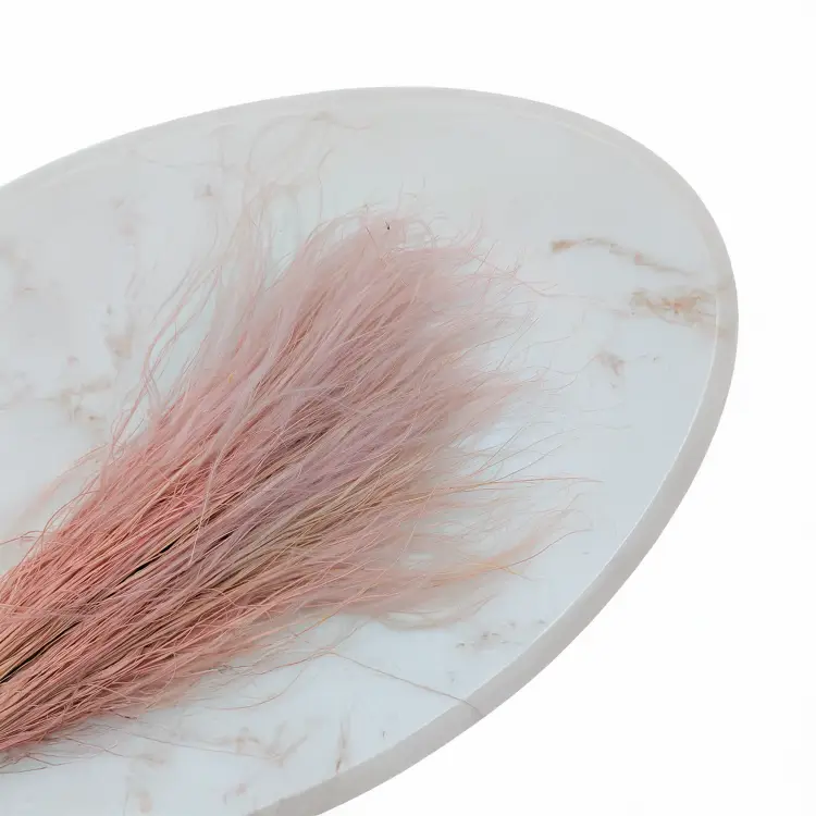 Stipa wrzosowa 2.png