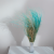 Stipa miętowa 3.png