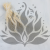 Stipa bielona.png