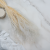 Stipa bielona 1.png