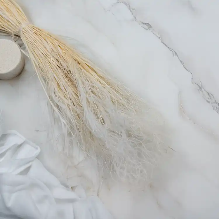 Stipa bielona 1.png