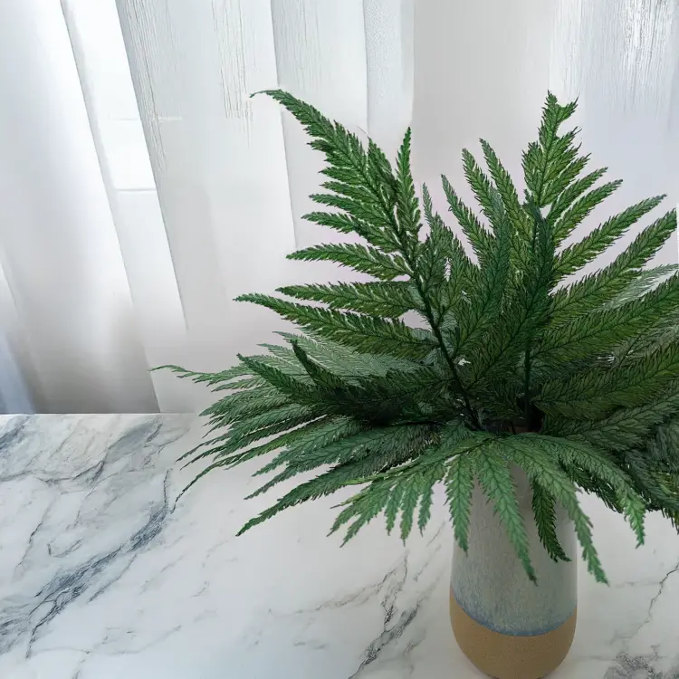 Paproć strusia 3.png