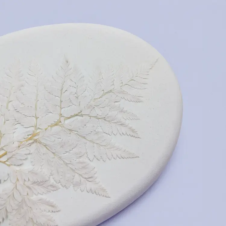 Paproć skórzasta long bielona 3.png