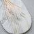 Mini Pampas bielony IT 1.png