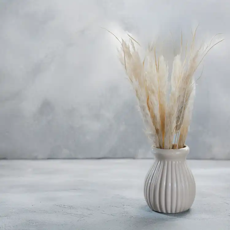 Mini Pampas bielony IT 4.png