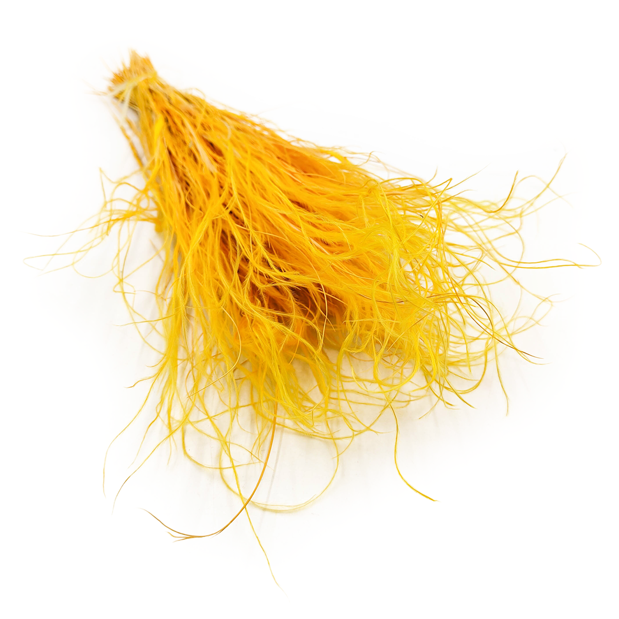 Feather Grass Dried - Stipa pennata - Ginger