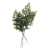 Paproć Adiantum Stabilizowana.png