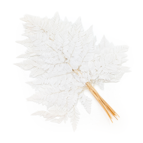 Skórzasta Long Bielona.png