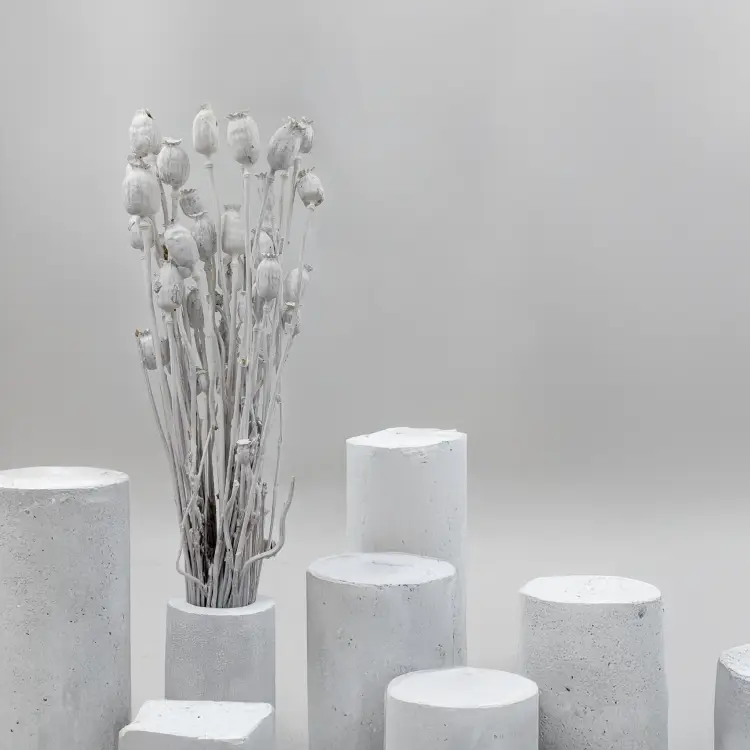 Makowka Bielona Barwiona.png