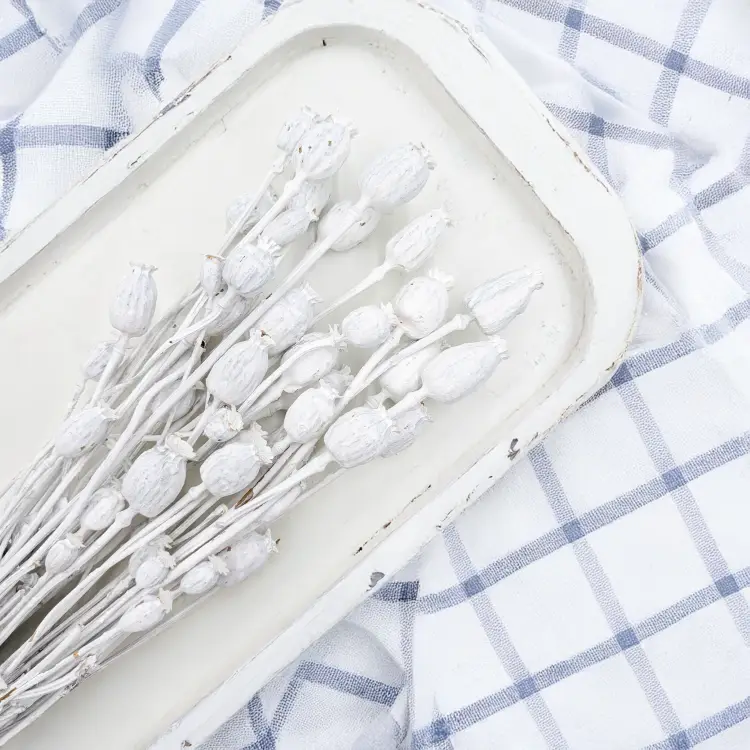 Makowka Bielona Barwiona 2.png