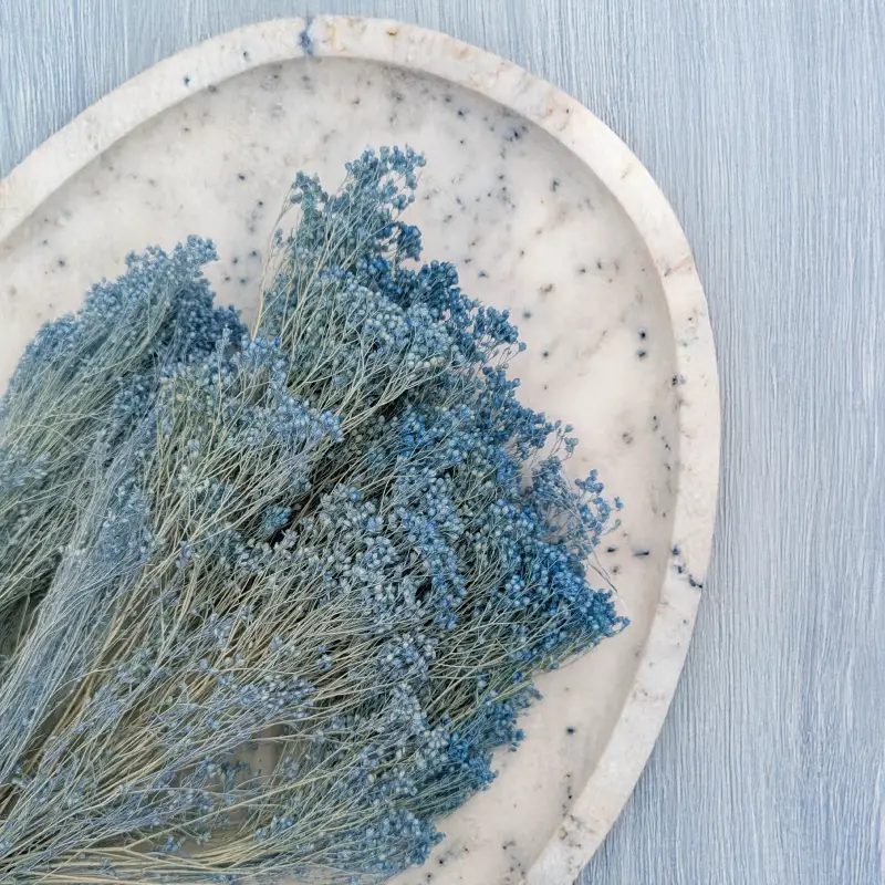 Broom Bloom Jasny niebieski 2.png