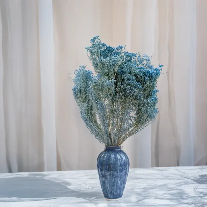 Broom Bloom Jasny niebieski 3.png