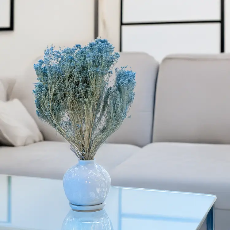 Broom Bloom Jasny niebieski 4.png