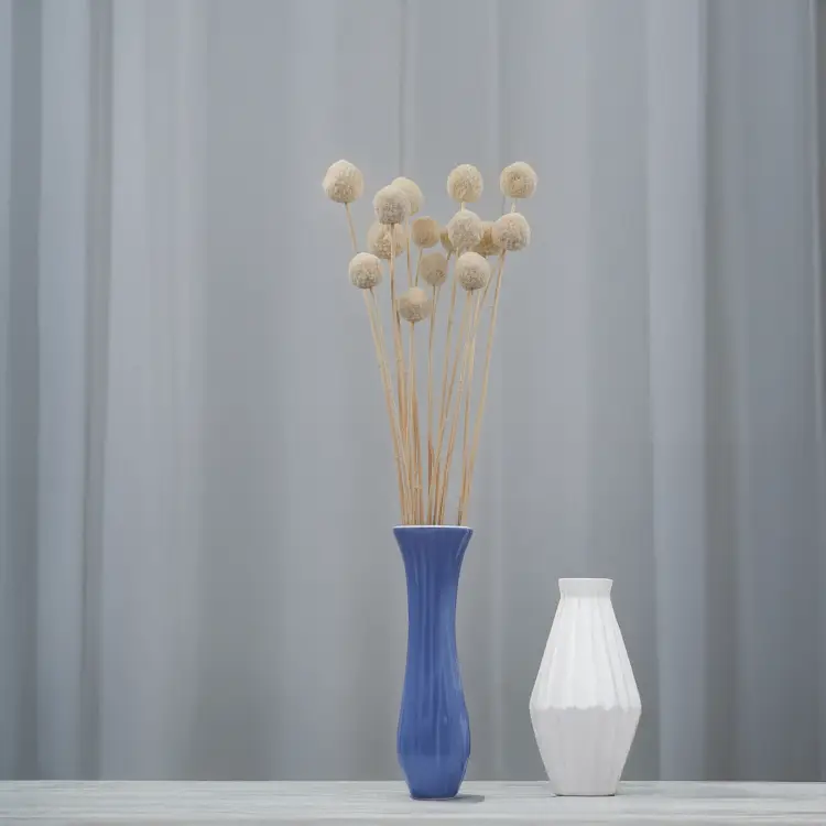 Craspedia biała IT 3.png