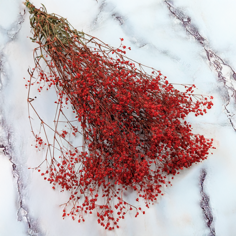 Gipsówka stablilizowana czerwona Pastel IT 1.png