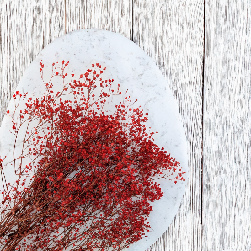 Gipsówka stablilizowana czerwona Pastel IT 2.png