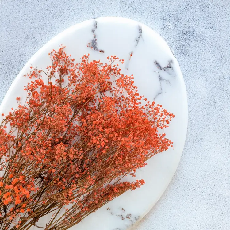 Gipsówka stablilizowana pomarańczowa Pastel IT 2.png