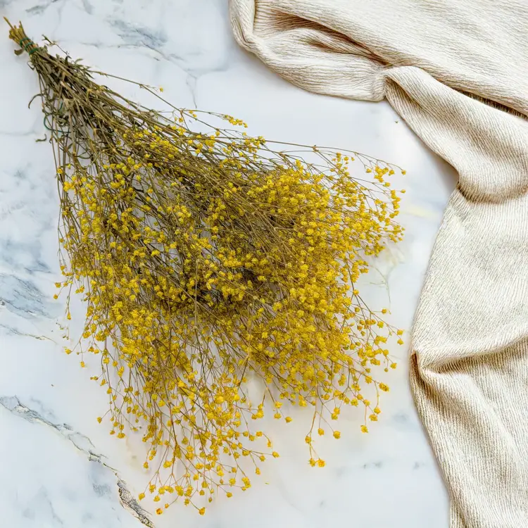 Gipsówka stabilizowana pastelowy żółty 1.png