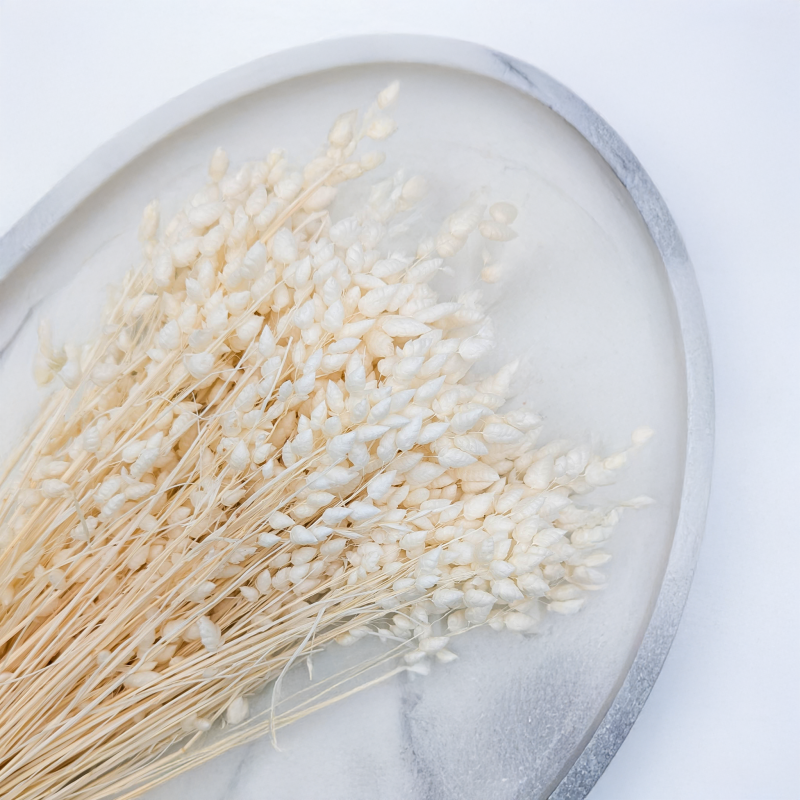 Briza Maxima bielona 2.png