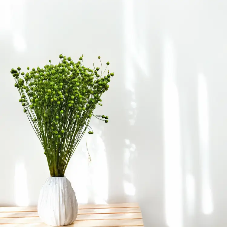 Len suszony Butelkowa Zieleń 2.png