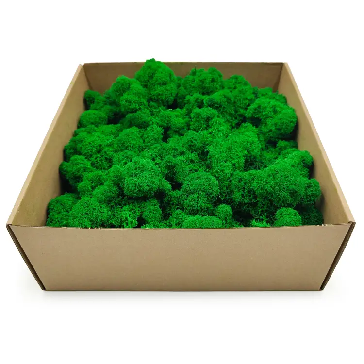 Zielony zblizenie 2.png