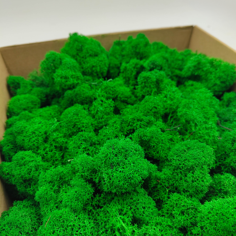 Zielony zblizenie 1.png