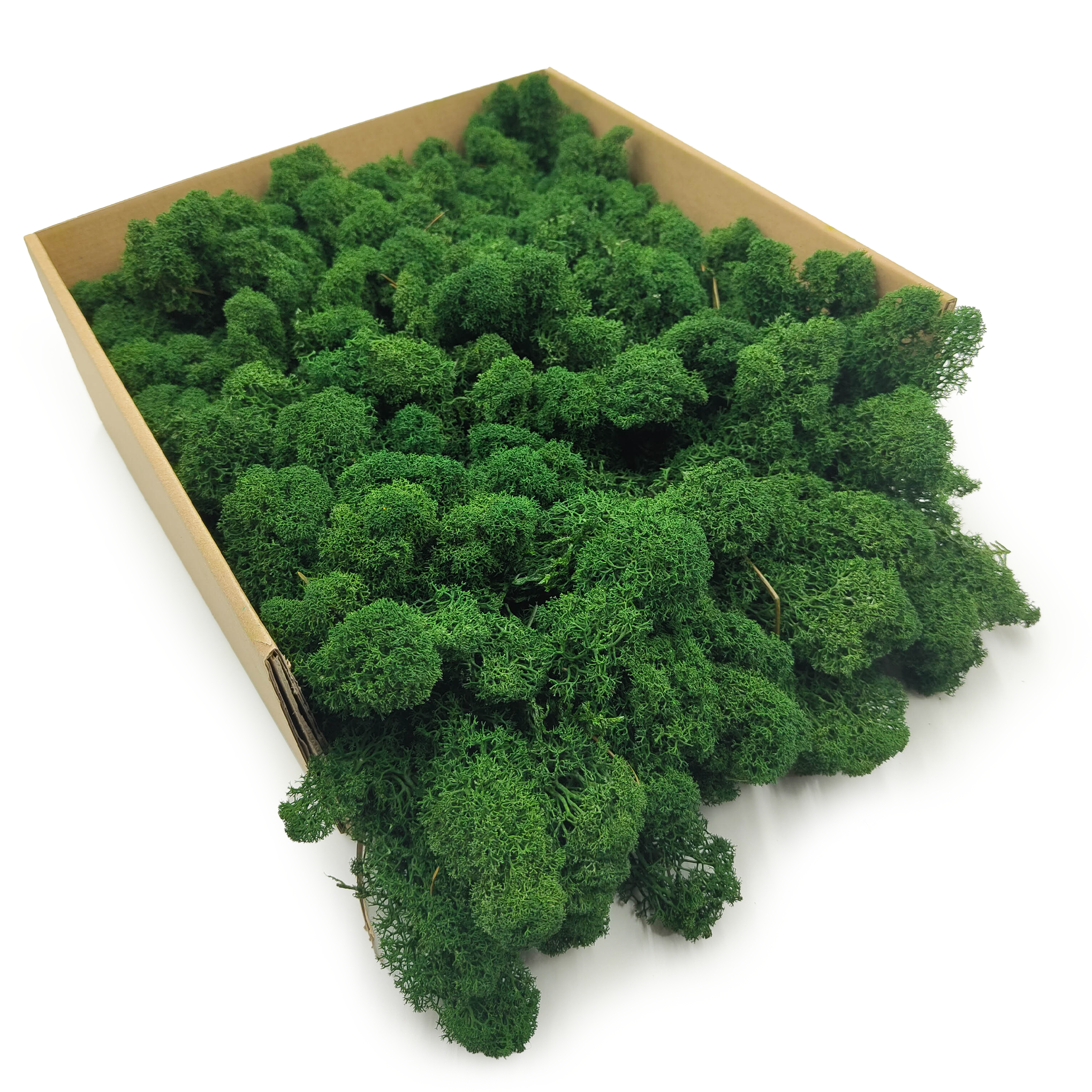 Reindeer Moss – Finnish – Purified – Bottle Green – 50g NET