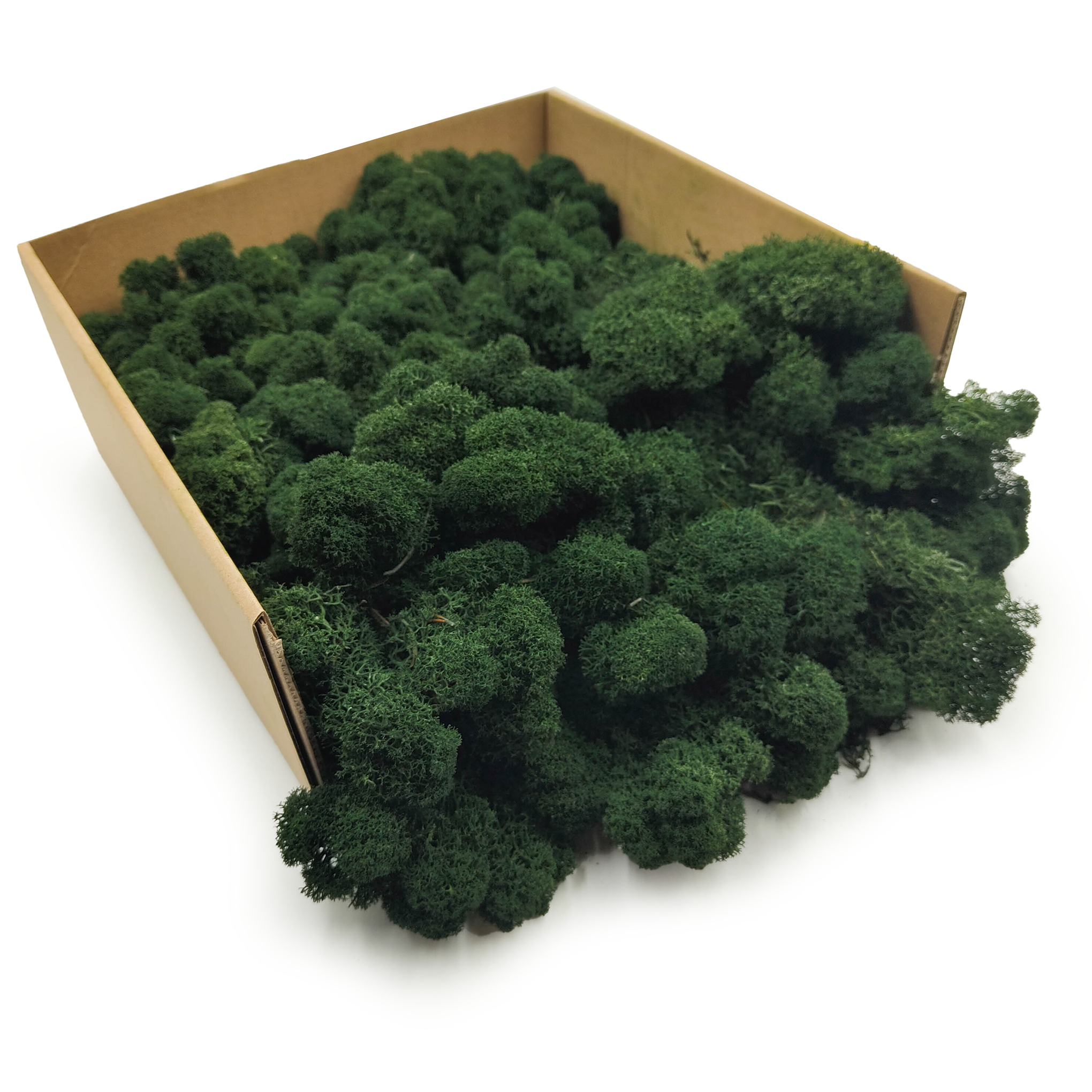 Reindeer Moss – Finnish – Purified – Dark Green – 250g NET