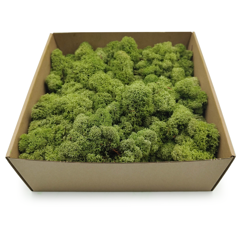 Średnia Zieleń zblizenie 2.png