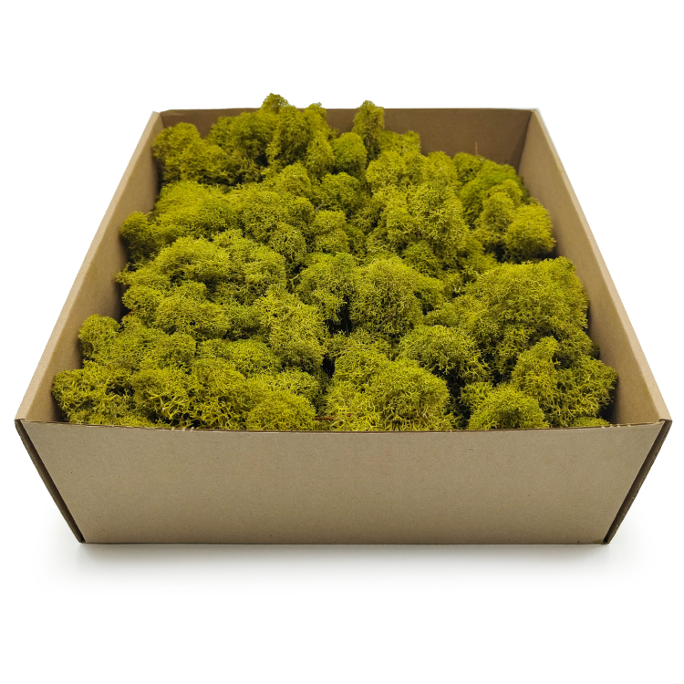 Limonka zblizenie 2.png