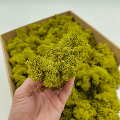 Limonka zblizenie.png