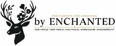 mech-mech.pl by Enchanted - home page