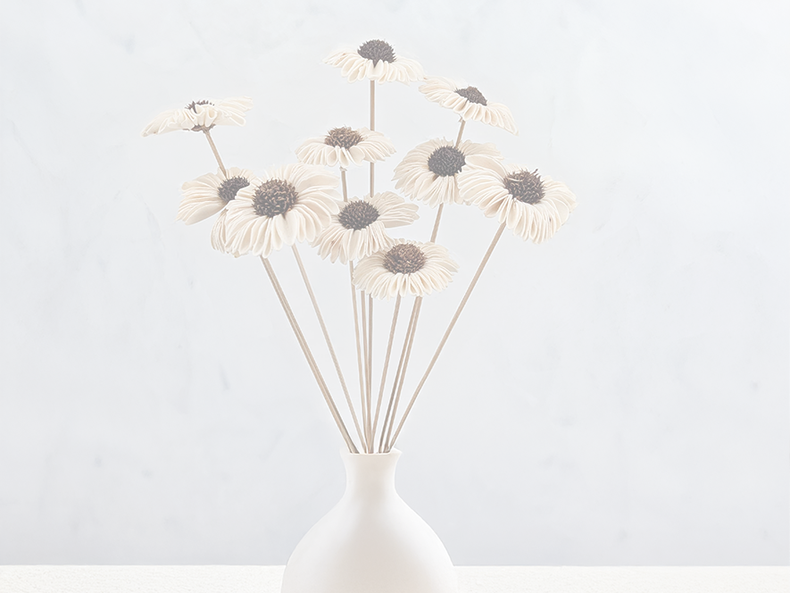 Shola Flowers