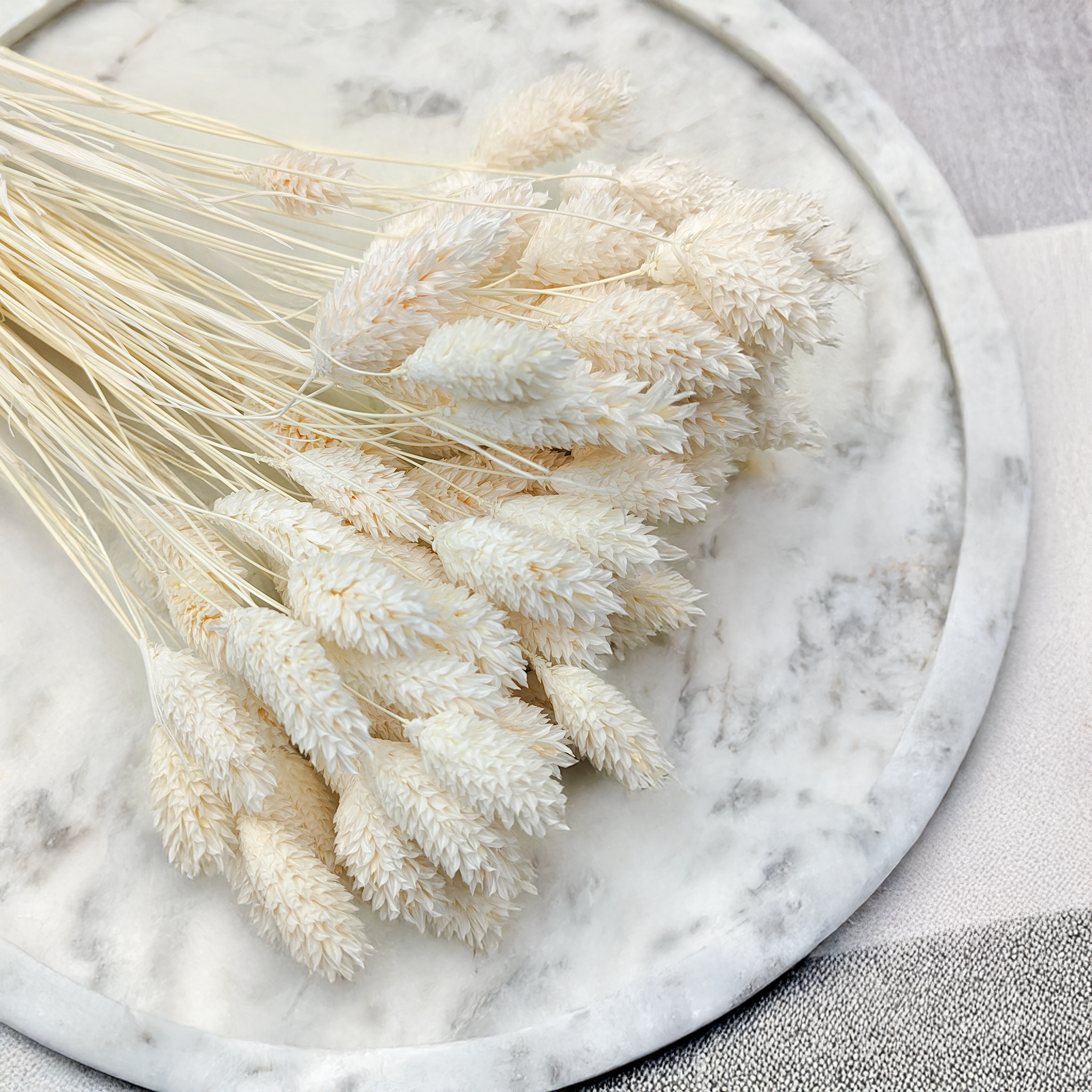 Extra bleached canary grass