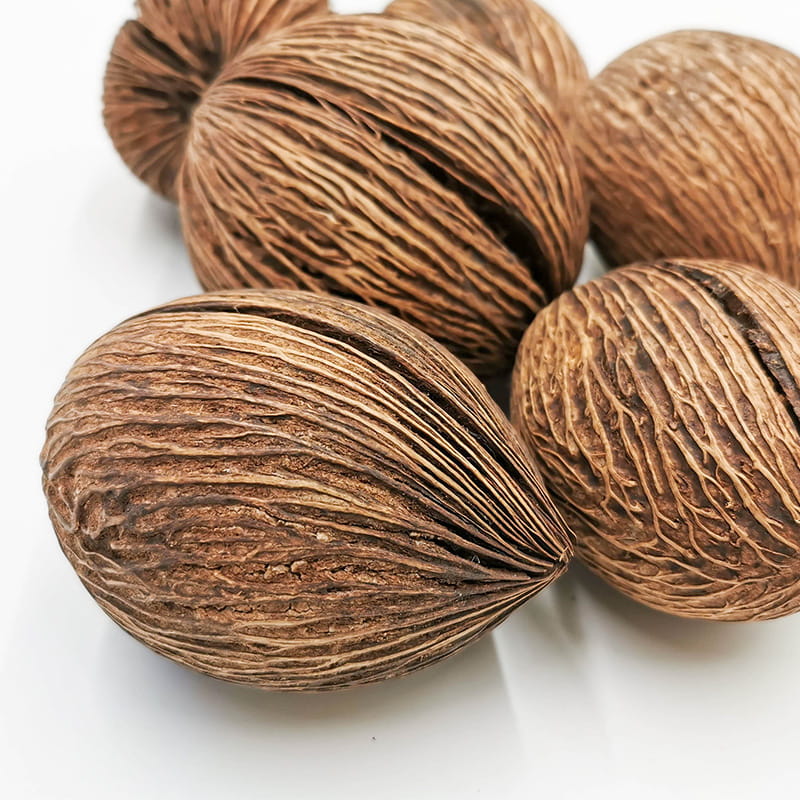 Dried arrangement 3156