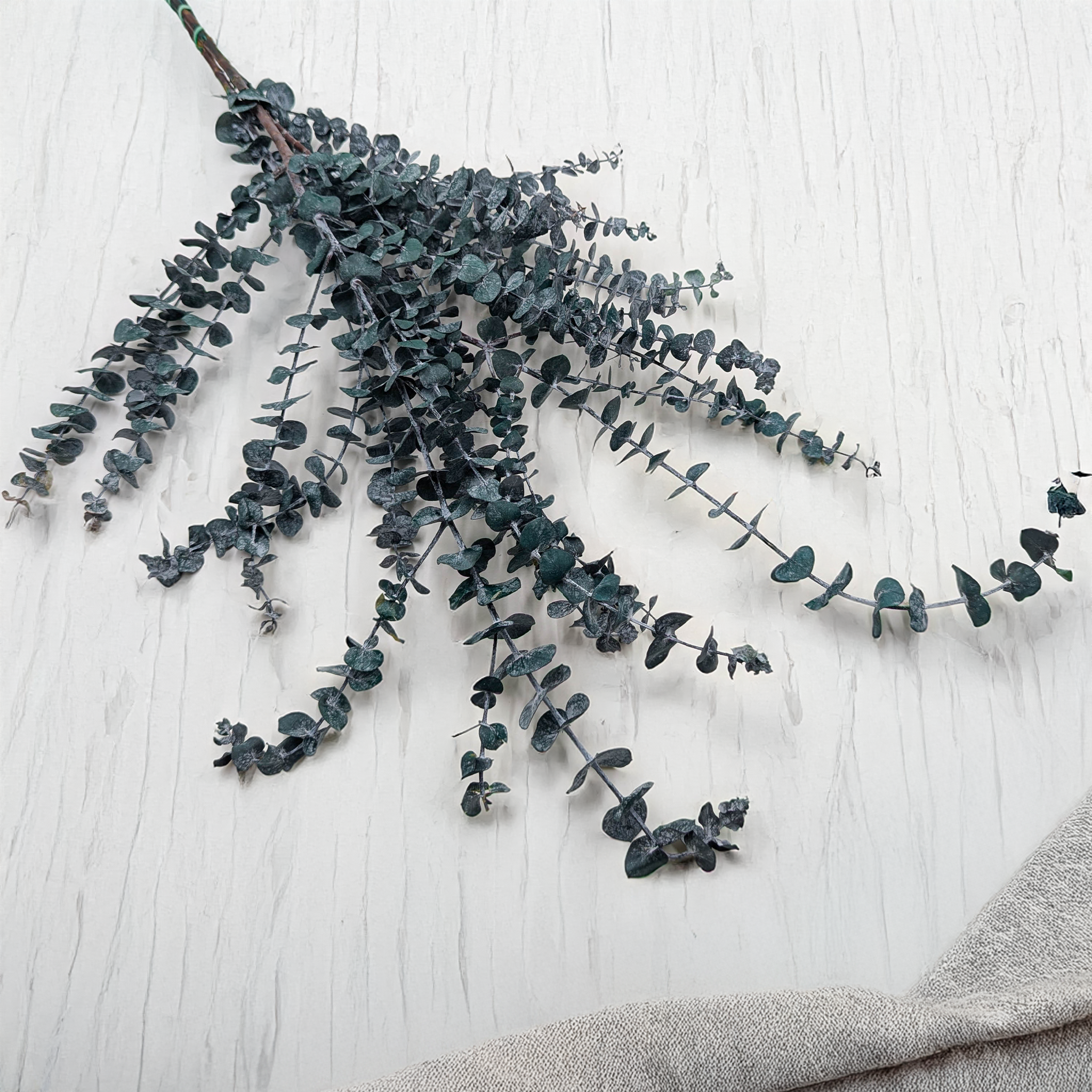 Baby Blue branches